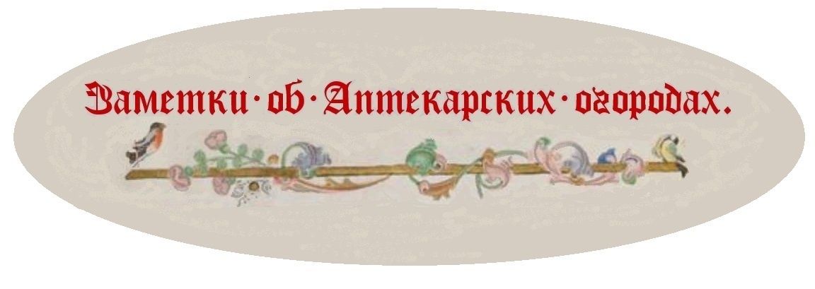 ������ ������� � ��������: ������� ���� ��� ���������� �� ������