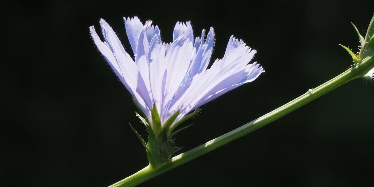 �������: �������� �������� � ����� ���� ��� ����������