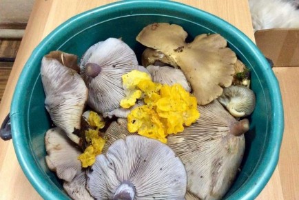 ��������� ������� ����� ������������� ������� � ������ ������