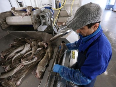 �����: ����� ������������ ���� � ������ � 2026 ����