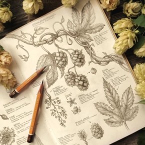 ����� ������������: �������, ����� � ������������ �����