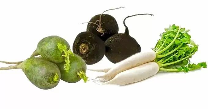 Откройте для себя удивительный мир салатов из редьки: 8 кулинарных находок