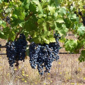 ������� �����: ������������� �������� ������ ��� ���������