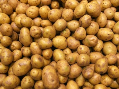 ������� ������ � �������� ���������: ��� ������� ��� ��������