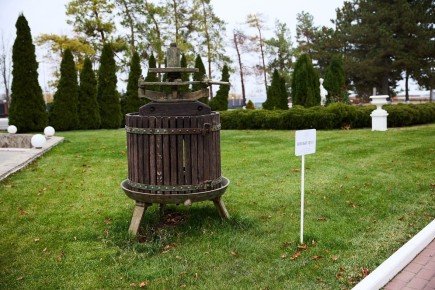 �������� � ��� ��������� ����: ����� ������� ��������� �� ����