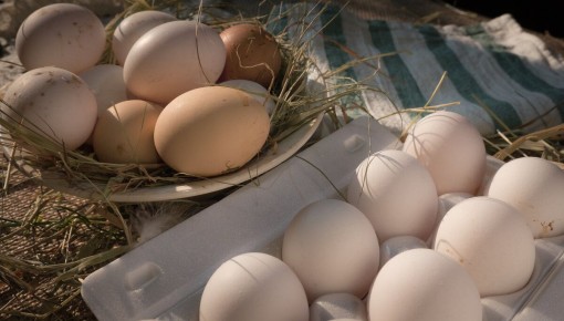 ������ ��� � �������: 34 ������������ ��� ������� �����