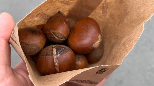 ������� �������: ��������� ���������������� ���� ��� ���������� ��������