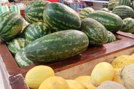 ��������� ����� � �������� ������ � �������: 10 ���������, ������� �� ��������� � ������������