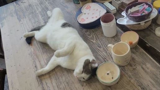 ��� ��� ������� ���� ����� ���������� ���������� � ������